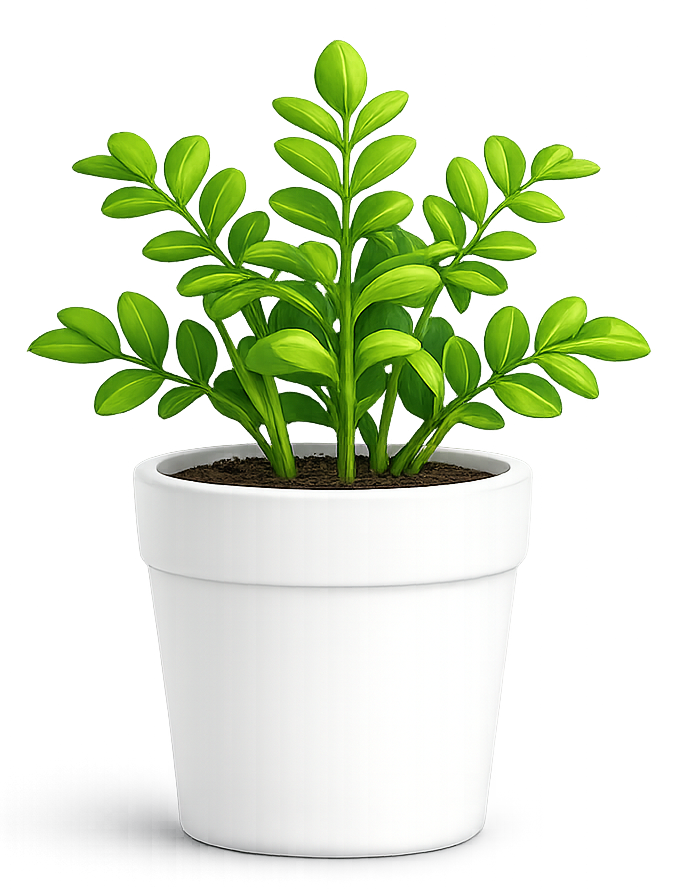 plant